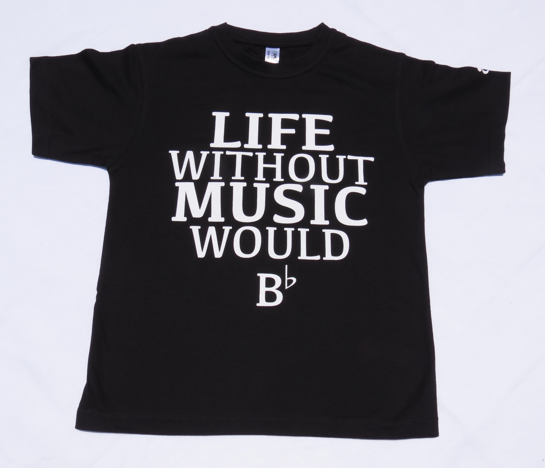 Life would B flat_music_t shirt
